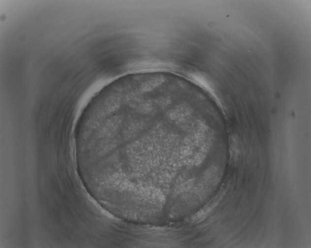 X0000073411472200608251512