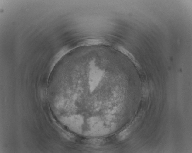 X0000073411473200608251512