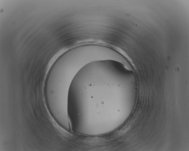 X0000073411474200608251512