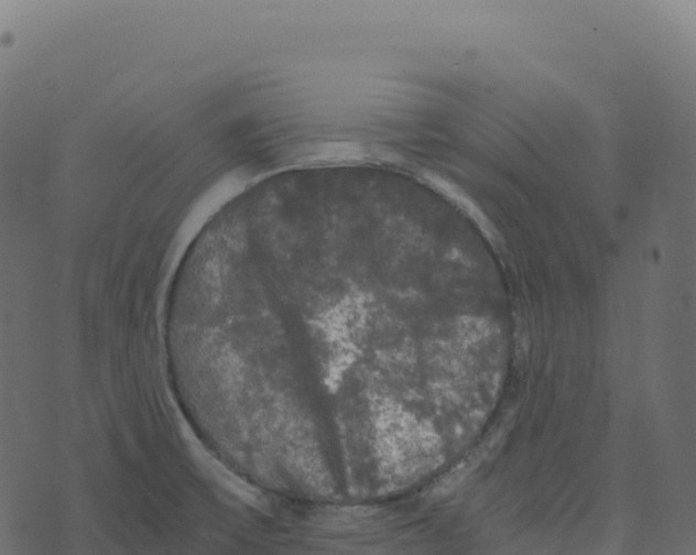 X0000073411475200608251512