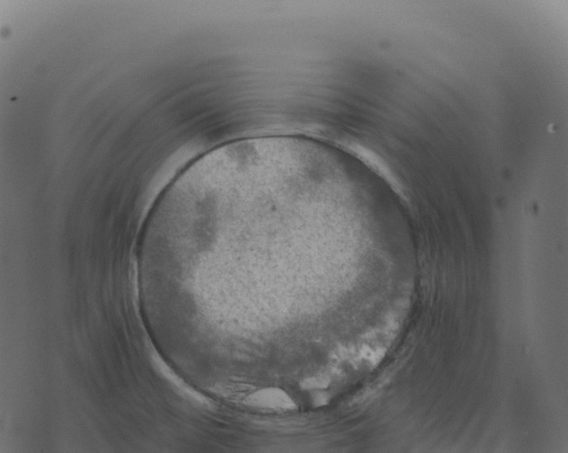 X0000073411476200608251512