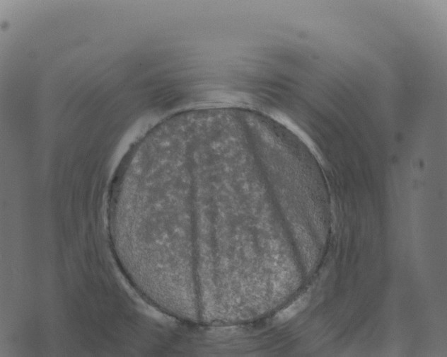 X0000073411477200608251512