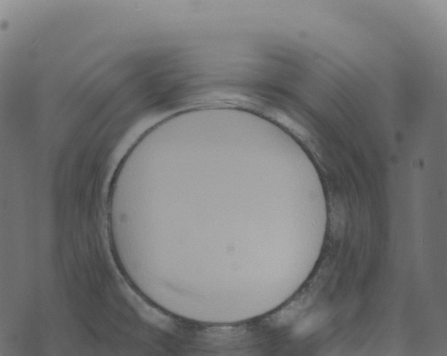 X0000073411478200608251512