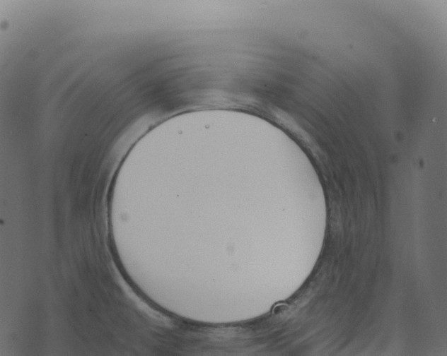 X0000073411479200608251512