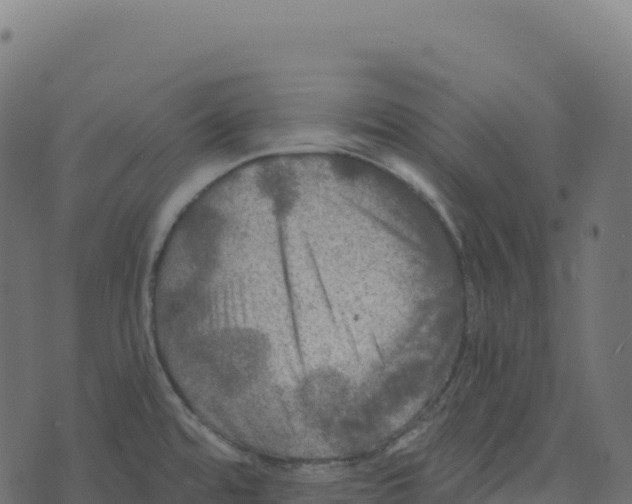 X0000073411480200608251512