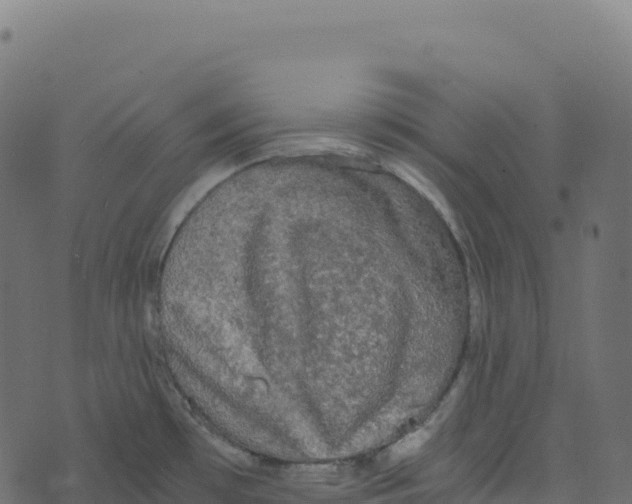 X0000073411481200608251512