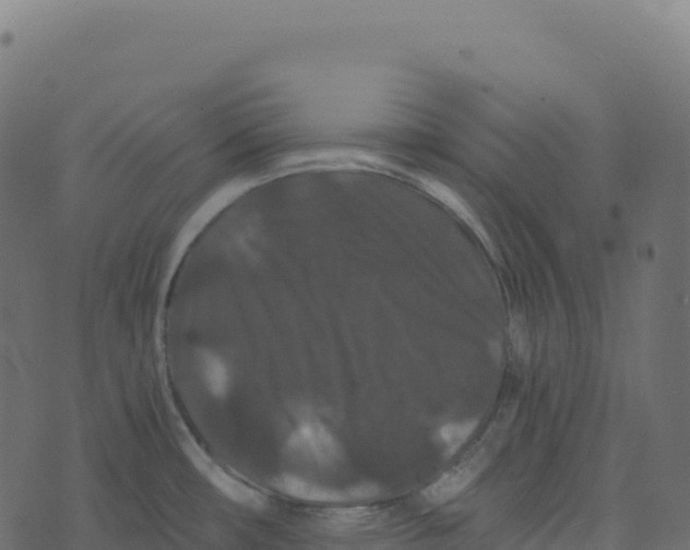 X0000073411482200608251512