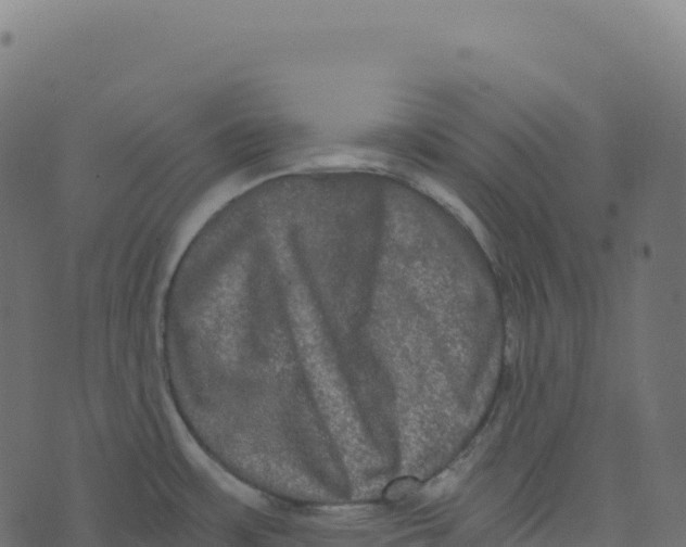 X0000073411483200608251512