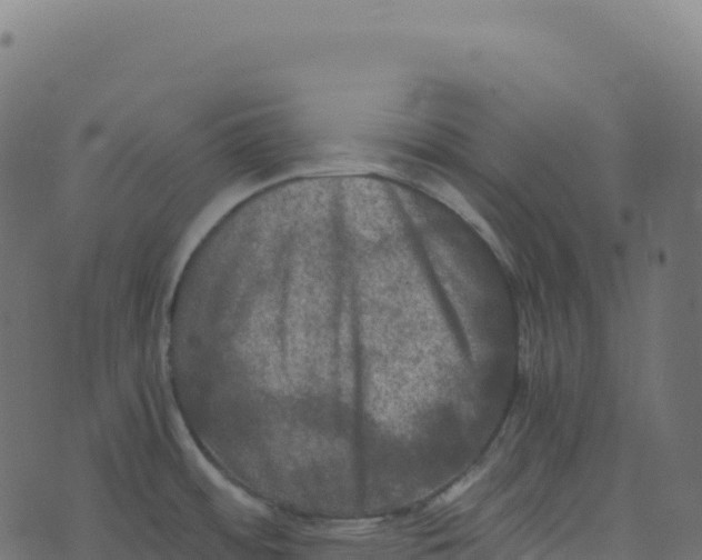 X0000073411484200608251512