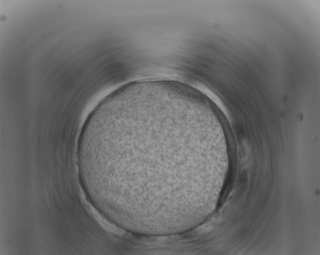 X0000073411485200608251512