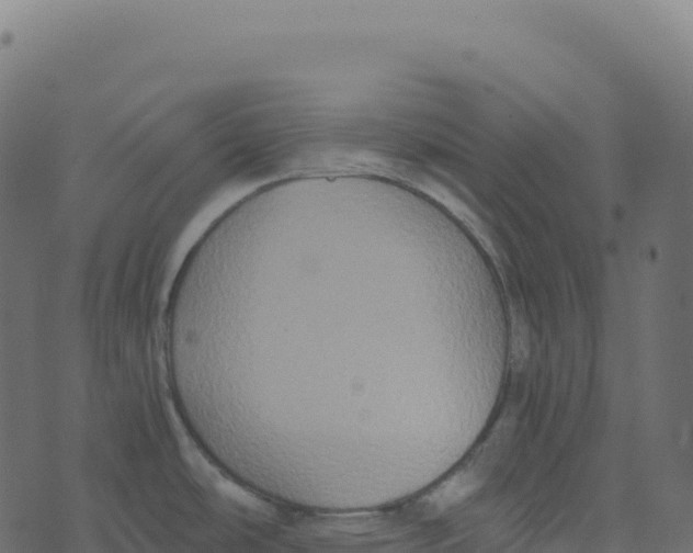 X0000073411486200608251512