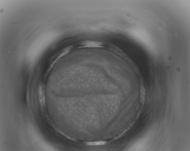 X0000073411487200608251512