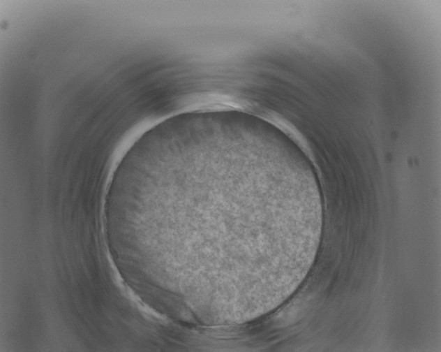 X0000073411488200608251512