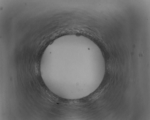 X0000073411490200608251511