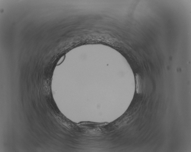 X0000073411491200608251511