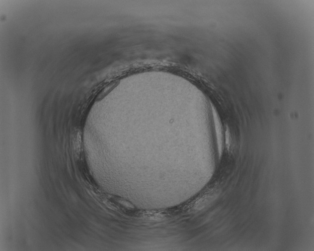 X0000073411492200608251511