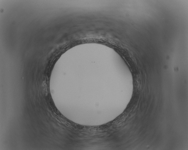 X0000073411493200608251511