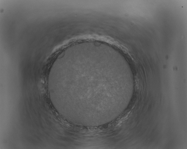 X0000073411494200608251511