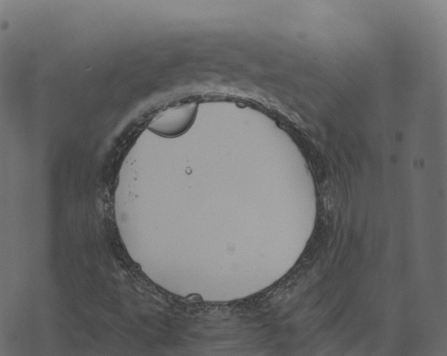 X0000073411495200608251511