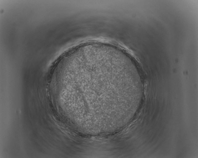 X0000073411496200608251511