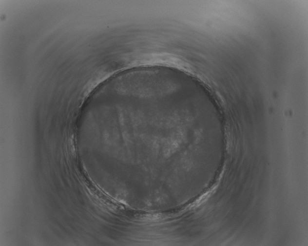 X0000073411497200608251511