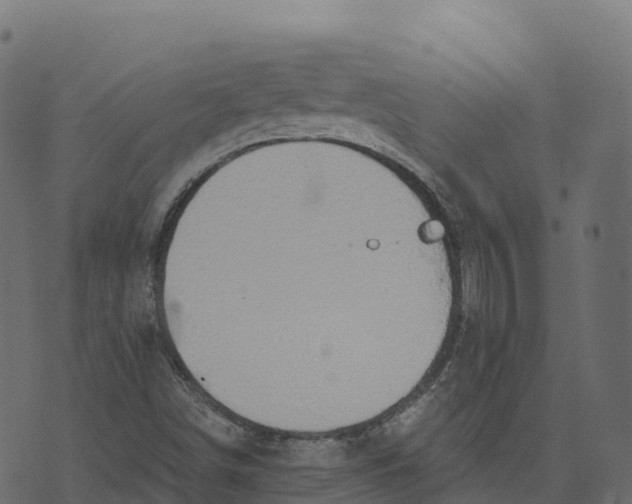 X0000073411498200608251511