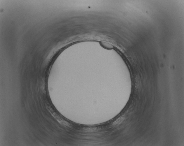 X0000073411499200608251511