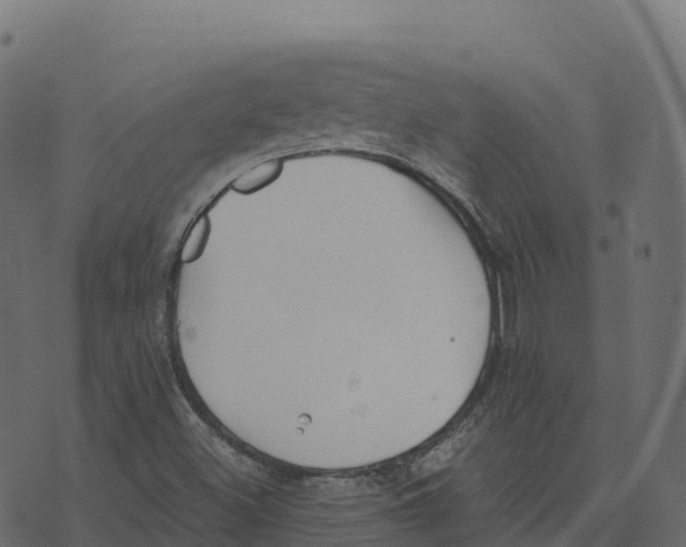 X0000073411500200608251511