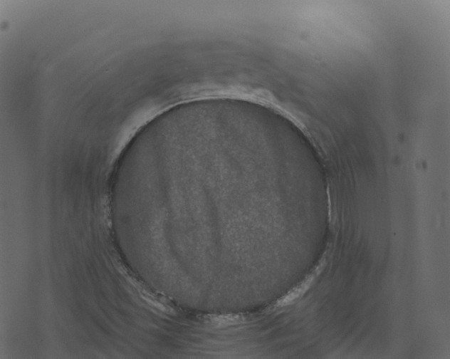 X0000073411501200608251511