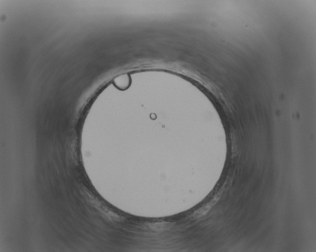 X0000073411502200608251511