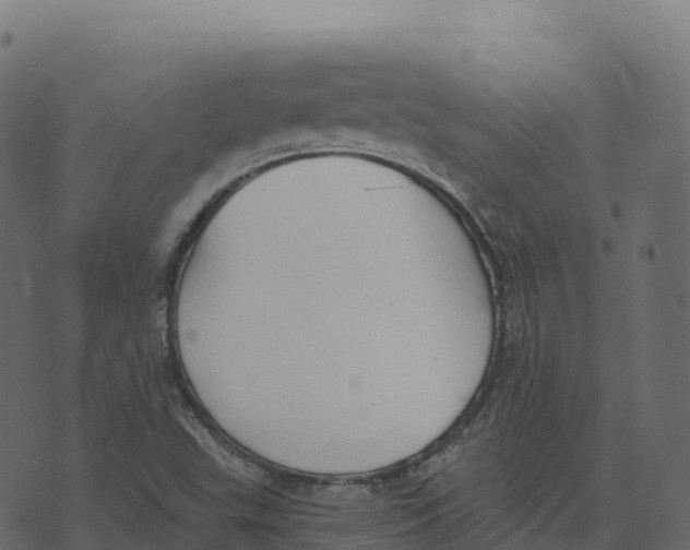 X0000073411503200608251511