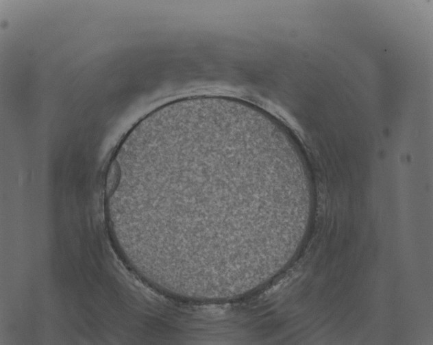 X0000073411504200608251511