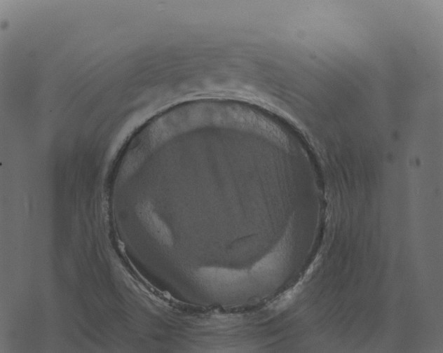 X0000073411506200608251511