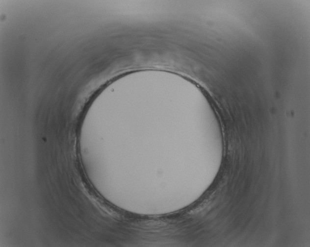 X0000073411507200608251511