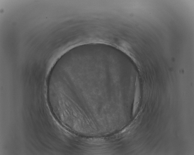 X0000073411508200608251511