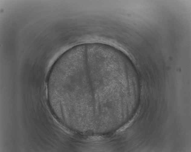 X0000073411509200608251511