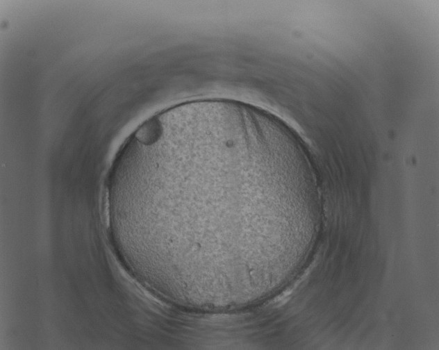 X0000073411510200608251511