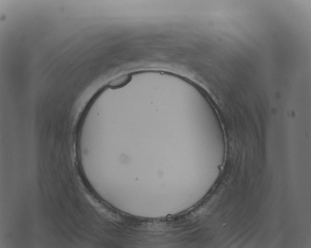 X0000073411511200608251512