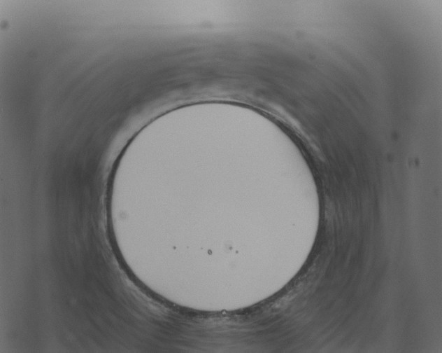 X0000073411512200608251512