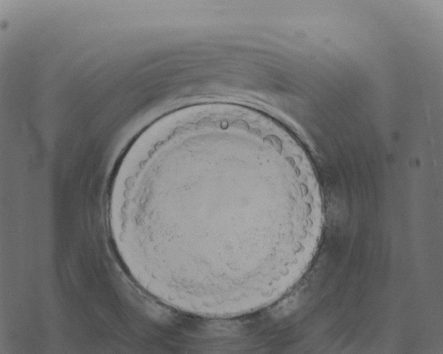 X0000073411514200608251512