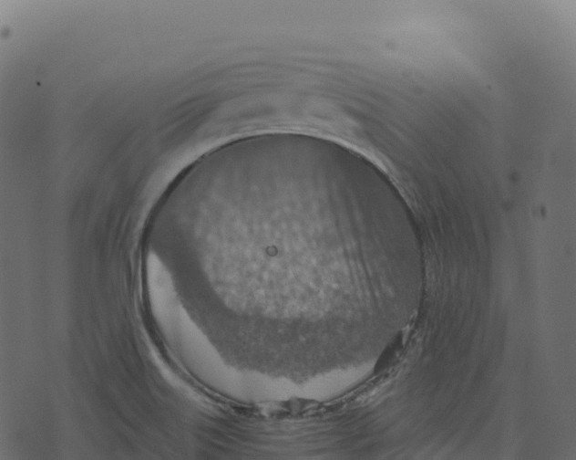 X0000073411515200608251512