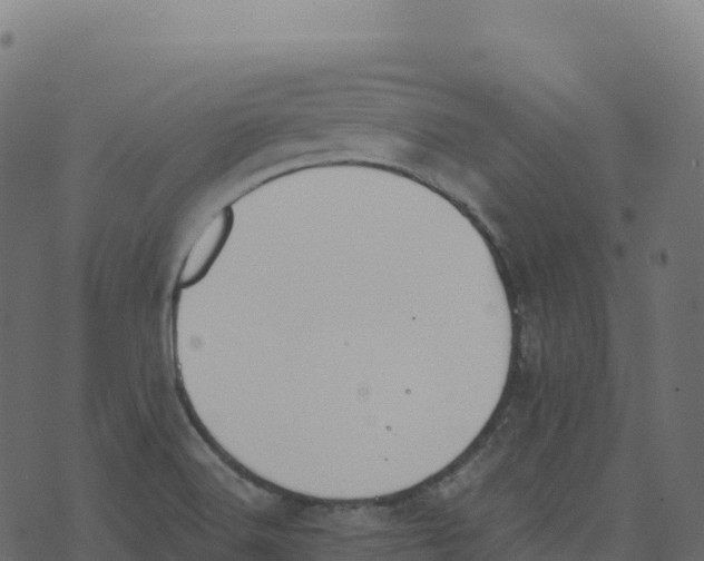 X0000073411516200608251512