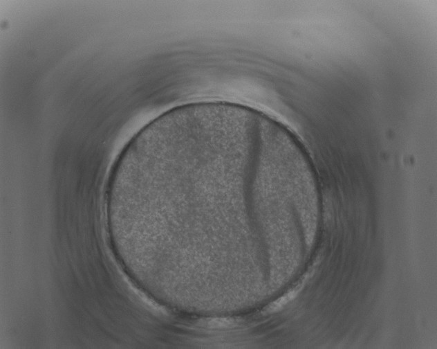 X0000073411517200608251512