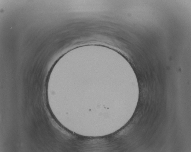 X0000073411518200608251512