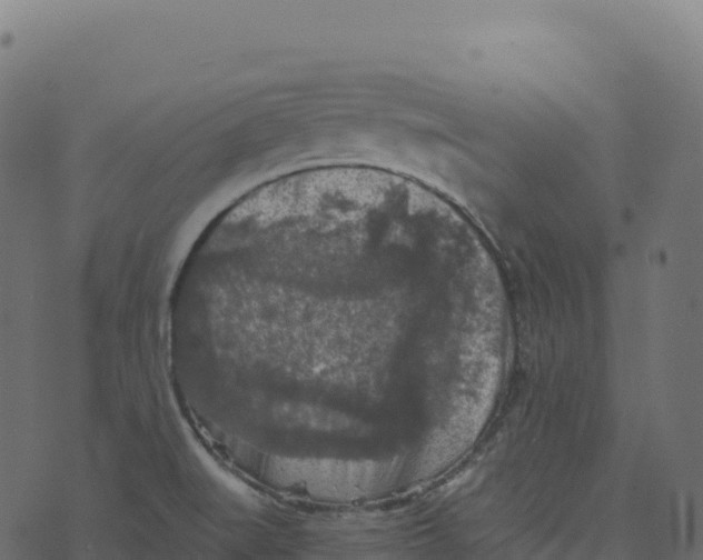 X0000073411519200608251512