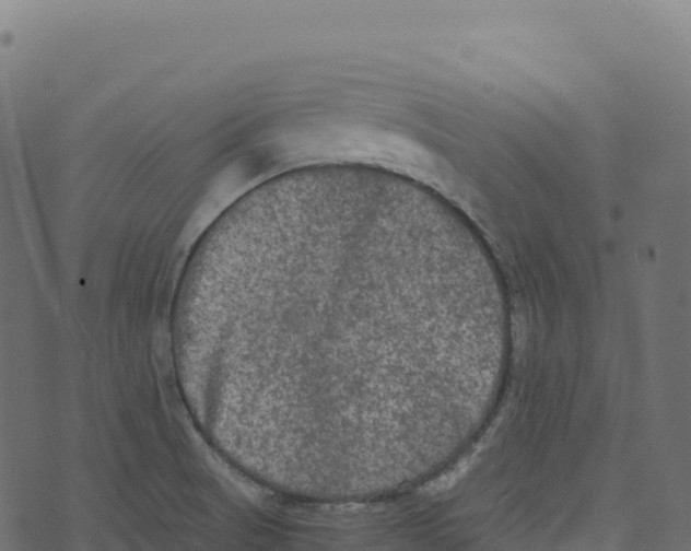 X0000073411521200608251512