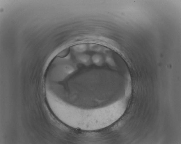 X0000073411522200608251512