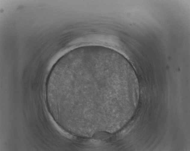 X0000073411523200608251512