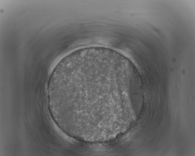 X0000073411524200608251512