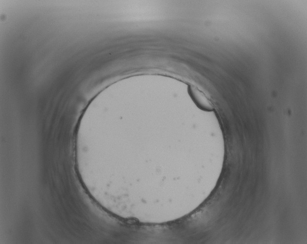 X0000073411526200608251512